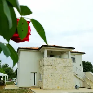 https://apartment-karolina-1.in-istria.net